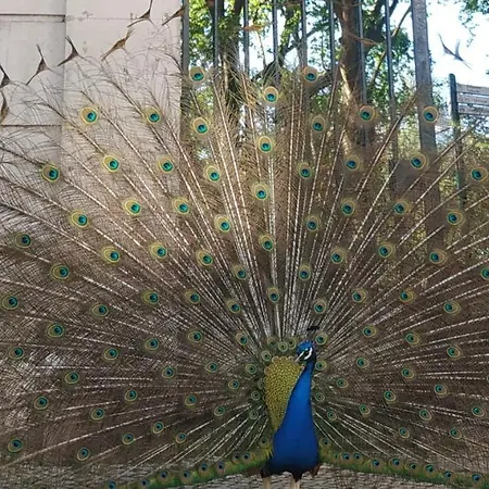 Appartamento Caldas Da Rainha's & White