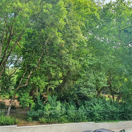 Caldas Da Rainha's & White Appartement Caldas Da Rainha