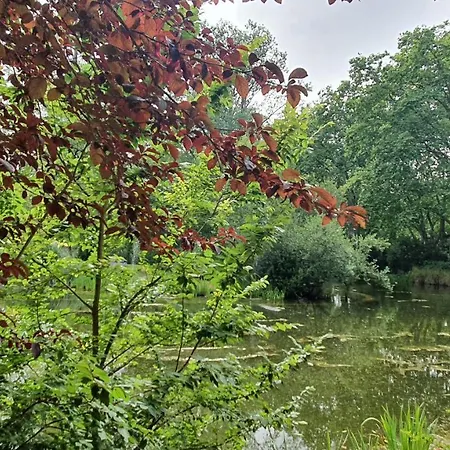 Caldas Da Rainha's & White