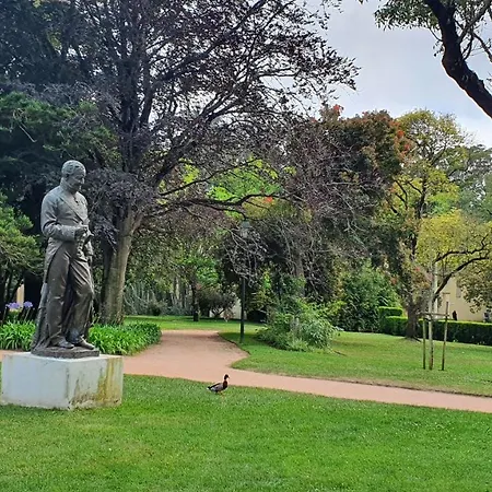 Caldas Da Rainha's & White * Caldas Da Rainha