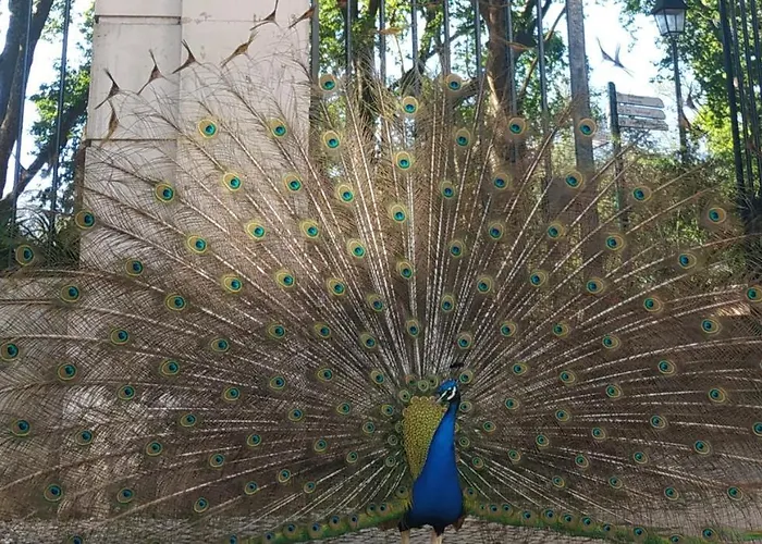 아파트 Caldas Da Rainha's & White