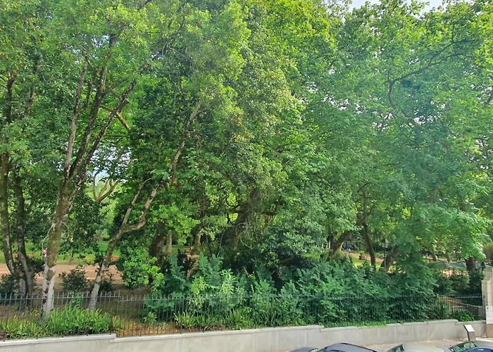 Caldas Da Rainha's & White Appartement Caldas Da Rainha