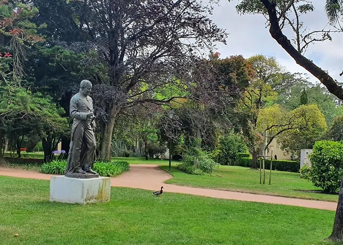 Caldas Da Rainha's & White * 칼다스하이냐